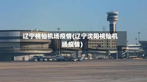 辽宁桃仙机场疫情(辽宁沈阳桃仙机场疫情)