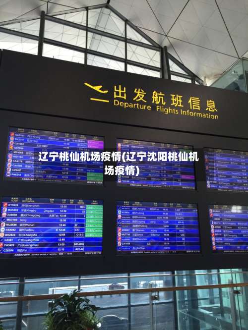 辽宁桃仙机场疫情(辽宁沈阳桃仙机场疫情)-第2张图片