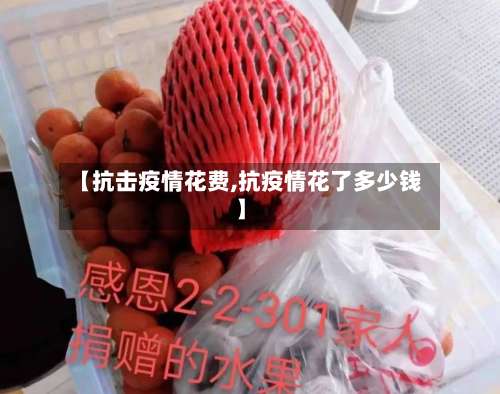 【抗击疫情花费,抗疫情花了多少钱】