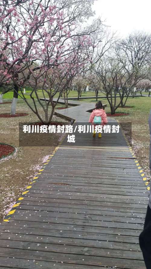 利川疫情封路/利川疫情封城-第3张图片