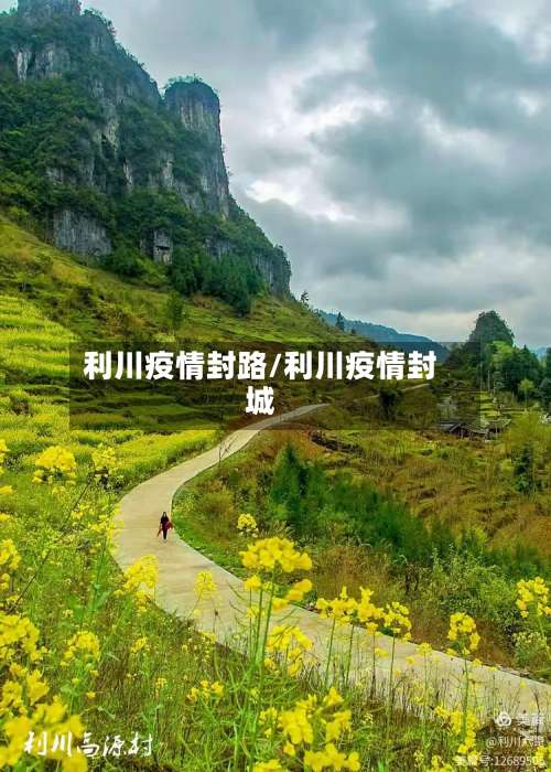 利川疫情封路/利川疫情封城