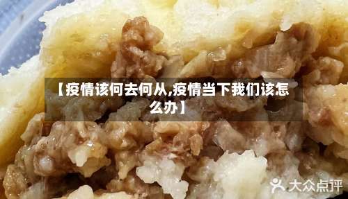 【疫情该何去何从,疫情当下我们该怎么办】