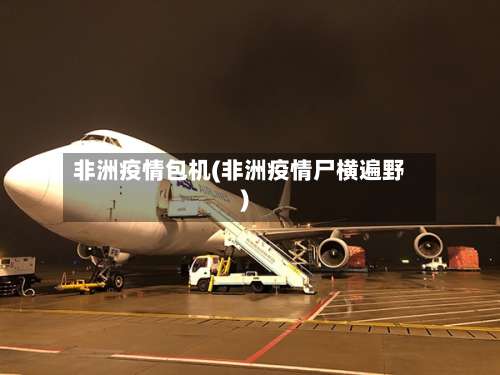 非洲疫情包机(非洲疫情尸横遍野)-第3张图片