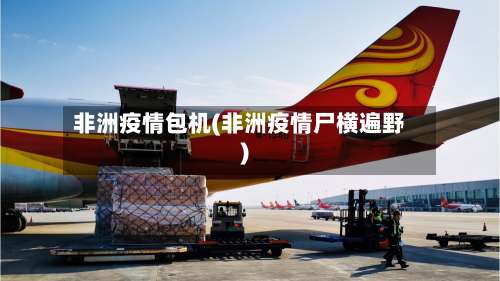 非洲疫情包机(非洲疫情尸横遍野)