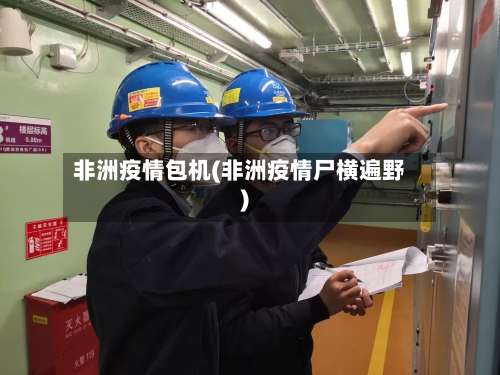 非洲疫情包机(非洲疫情尸横遍野)-第2张图片