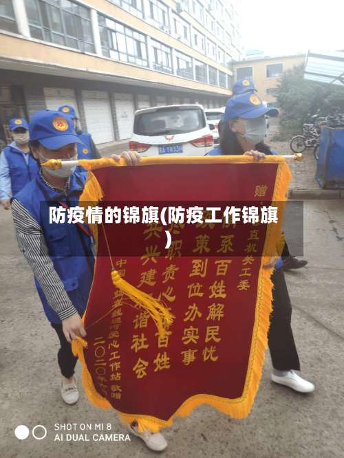 防疫情的锦旗(防疫工作锦旗)-第2张图片