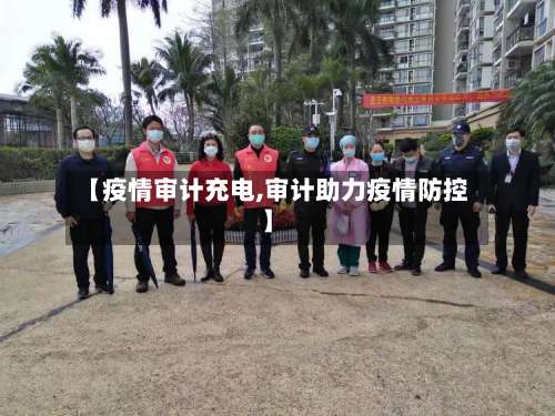 【疫情审计充电,审计助力疫情防控】-第2张图片