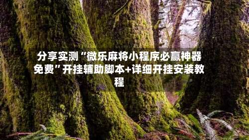 分享实测“微乐麻将小程序必赢神器免费”开挂辅助脚本+详细开挂安装教程-第2张图片