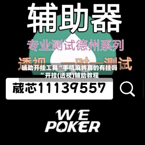 辅助开挂工具“手机麻将真的有挂吗”开挂(透视)辅助教程-第2张图片