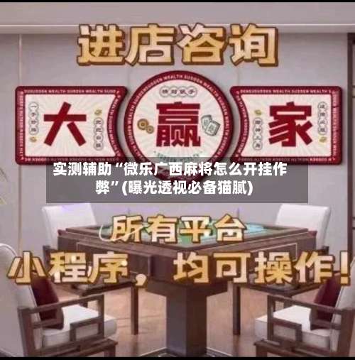 实测辅助“微乐广西麻将怎么开挂作弊”(曝光透视必备猫腻)-第2张图片