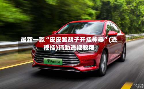 最新一款“皮皮跑胡子开挂神器”(透视挂)辅助透视教程