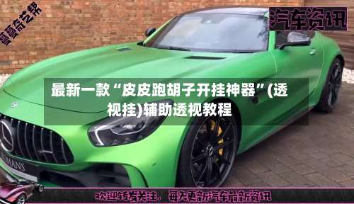 最新一款“皮皮跑胡子开挂神器”(透视挂)辅助透视教程-第2张图片