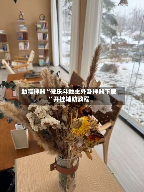 助赢神器“微乐斗地主外卦神器下载”开挂辅助教程-第3张图片