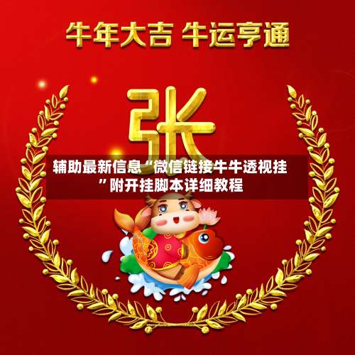 辅助最新信息“微信链接牛牛透视挂”附开挂脚本详细教程-第3张图片