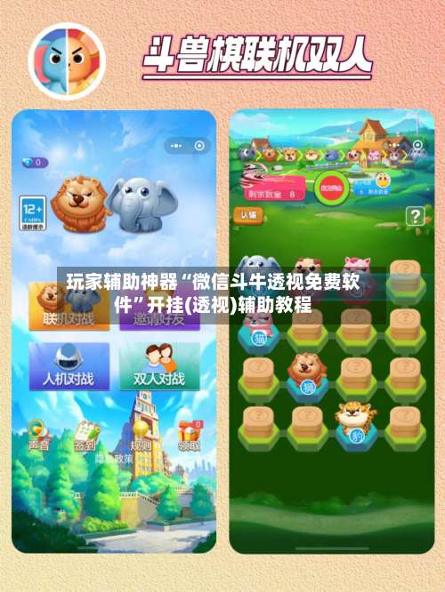 玩家辅助神器“微信斗牛透视免费软件”开挂(透视)辅助教程-第3张图片