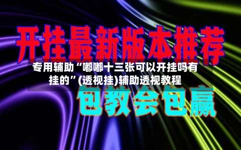 专用辅助“嘟嘟十三张可以开挂吗有挂的”(透视挂)辅助透视教程-第2张图片
