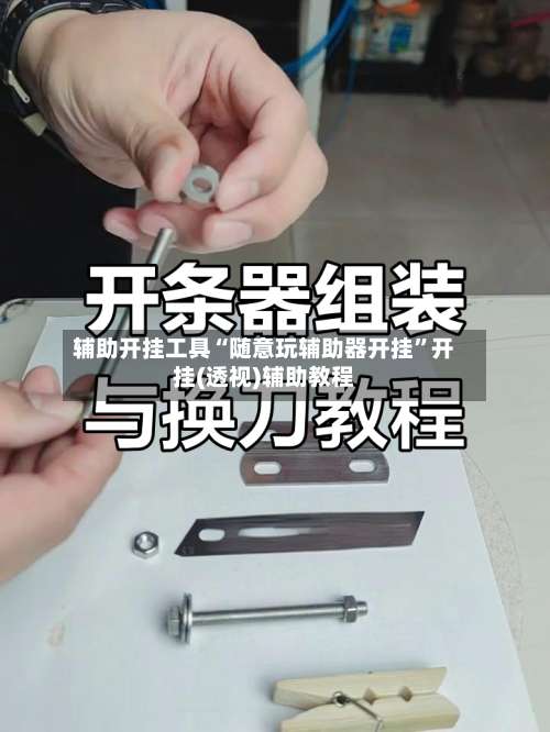 辅助开挂工具“随意玩辅助器开挂”开挂(透视)辅助教程-第2张图片