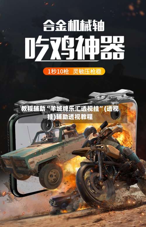 教程辅助“羊城牌乐汇透视挂	”(透视挂)辅助透视教程-第3张图片