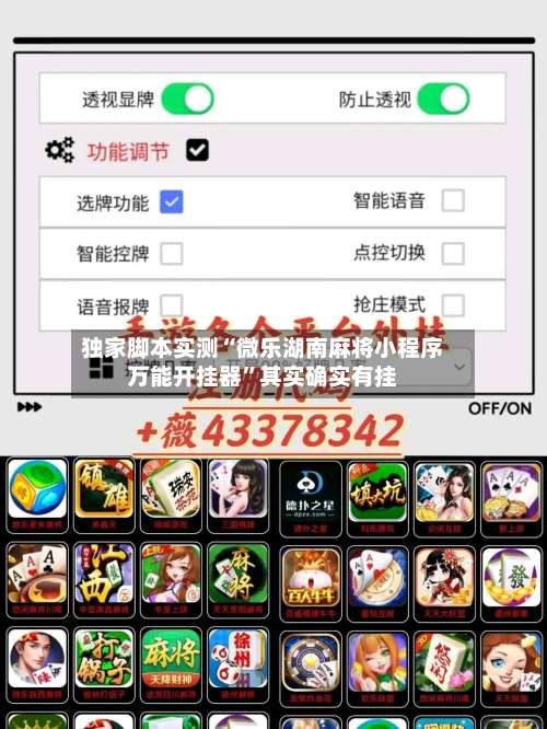 独家脚本实测“微乐湖南麻将小程序万能开挂器”其实确实有挂-第2张图片