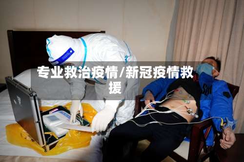 专业救治疫情/新冠疫情救援
