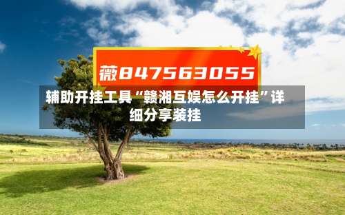 辅助开挂工具“赣湘互娱怎么开挂”详细分享装挂-第2张图片