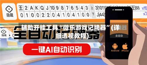 辅助开挂工具“微乐游戏记牌器”(详细透视教程)-第2张图片