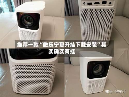 推荐一款“微乐宁夏开挂下载安装”其实确实有挂-第2张图片