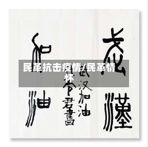 民革抗击疫情/民革情怀