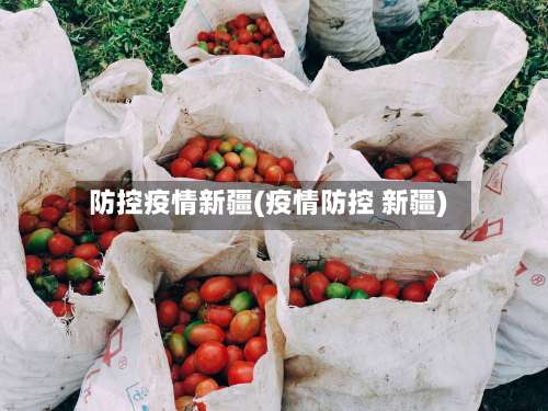 防控疫情新疆(疫情防控 新疆)-第2张图片