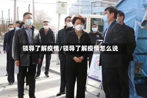 领导了解疫情/领导了解疫情怎么说