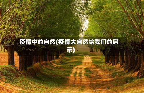 疫情中的自然(疫情大自然给我们的启示)-第2张图片