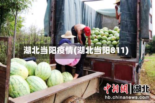 湖北当阳疫情(湖北当阳811)