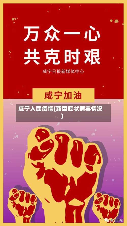 咸宁人民疫情(新型冠状病毒情况)-第2张图片