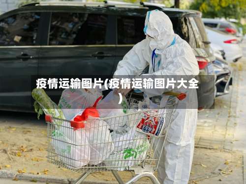 疫情运输图片(疫情运输图片大全)-第3张图片