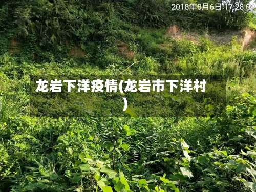 龙岩下洋疫情(龙岩市下洋村)