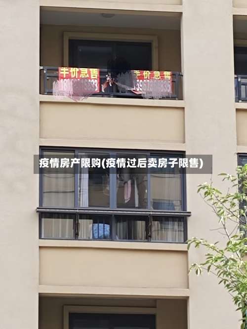 疫情房产限购(疫情过后卖房子限售)-第2张图片
