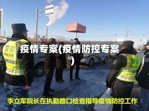 疫情专案(疫情防控专案)-第3张图片