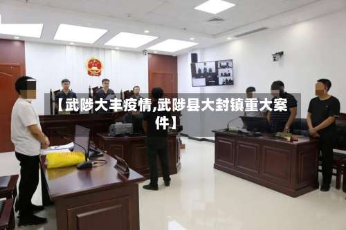 【武陟大丰疫情,武陟县大封镇重大案件】