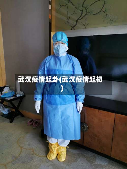 武汉疫情起卦(武汉疫情起初)-第2张图片