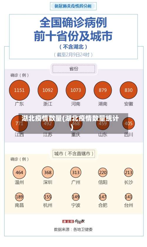 湖北疫情数量(湖北疫情数量统计)-第2张图片