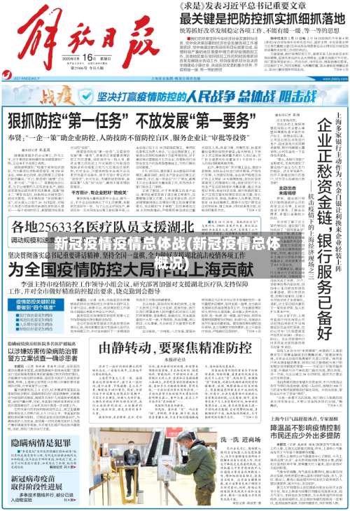 新冠疫情疫情总体战(新冠疫情总体概况)-第3张图片