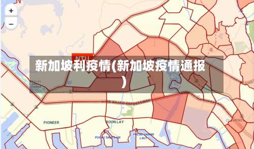 新加坡利疫情(新加坡疫情通报)