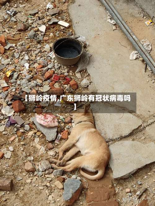 【狮岭疫情,广东狮岭有冠状病毒吗】-第3张图片