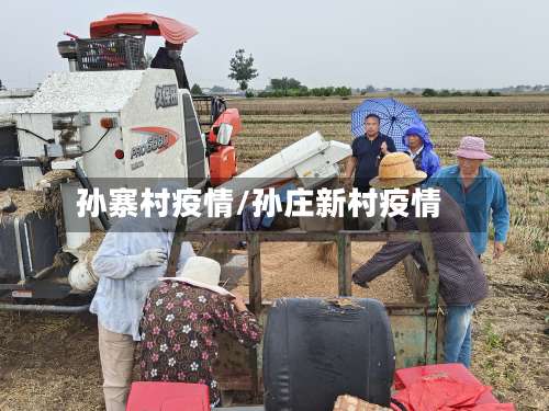 孙寨村疫情/孙庄新村疫情