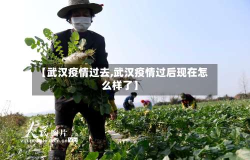 【武汉疫情过去,武汉疫情过后现在怎么样了】-第2张图片