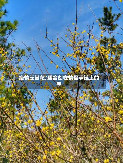 疫情云赏花/适合刻在情侣手链上的字