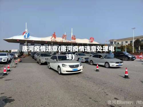 唐河疫情违章(唐河疫情违章处理电话)-第3张图片