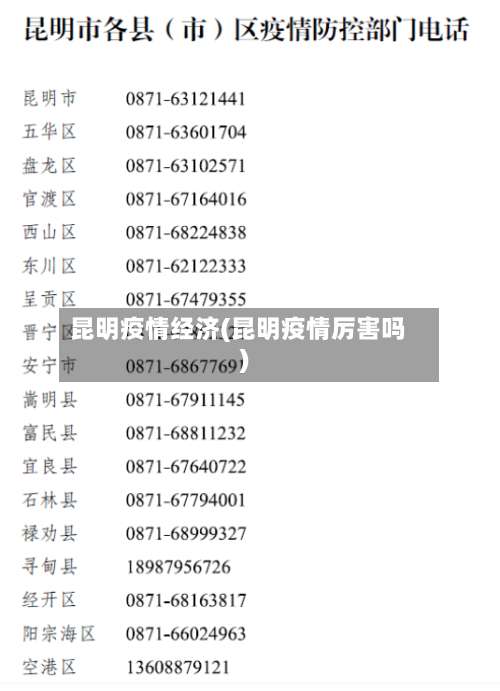 昆明疫情经济(昆明疫情厉害吗)