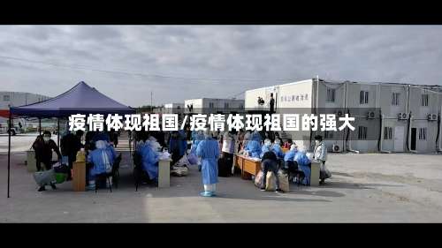 疫情体现祖国/疫情体现祖国的强大