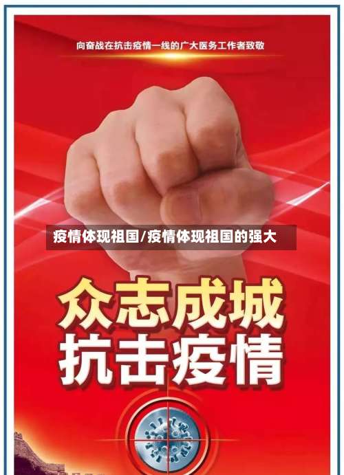 疫情体现祖国/疫情体现祖国的强大-第2张图片